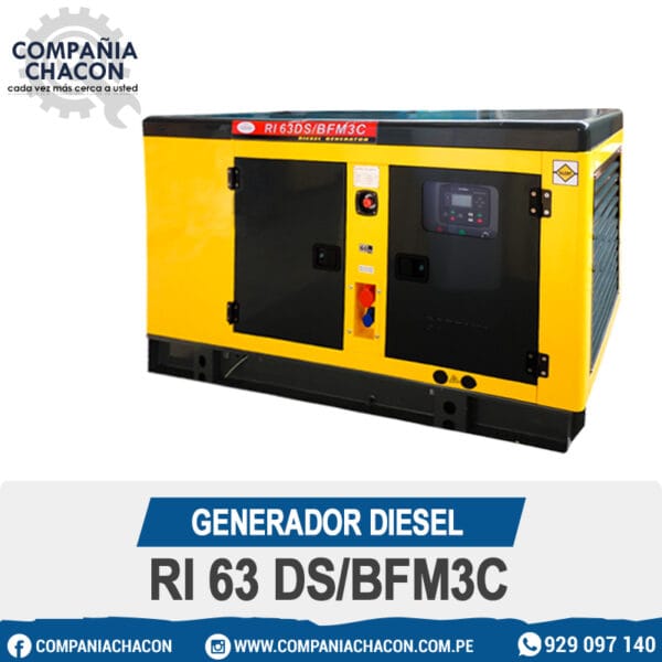 GENERADOR DIESEL RI 63 DS/BFM3C