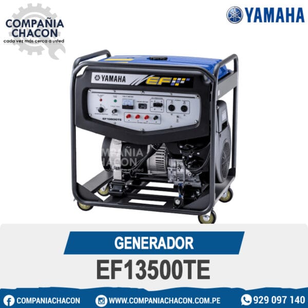 GENERADOR EF13500TE
