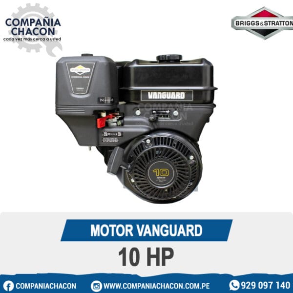 MOTOR VANGUARD 10 HP