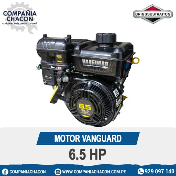 MOTOR VANGUARD 6.5 HP