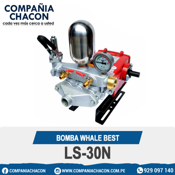 BOMBA WHALE BEST LS-30N