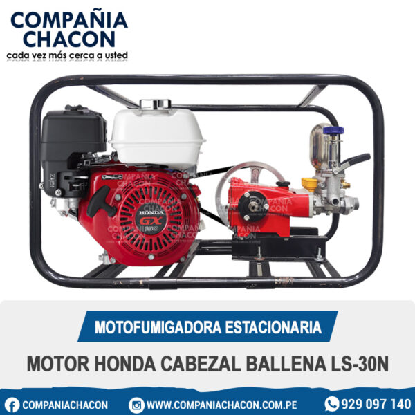 MOTOFUMIGADORA ESTACIONARIA MOTOR HONDA CABEZAL BALLENA LS-30N
