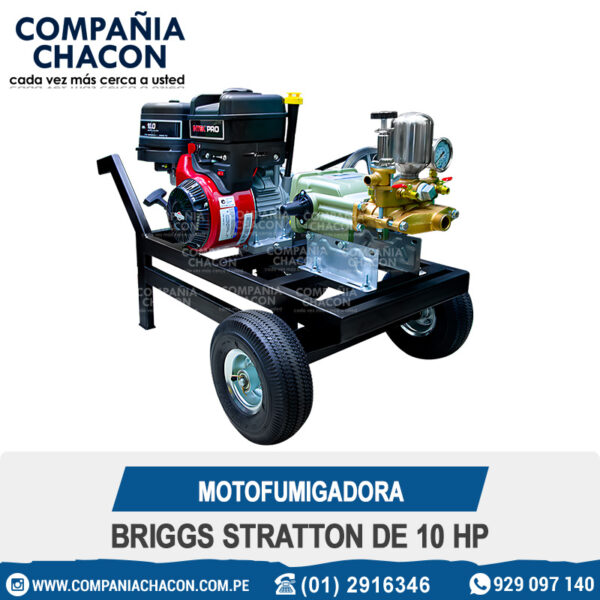 MOTOFUMIGADORA BRIGGS STRATTON DE 10 HP