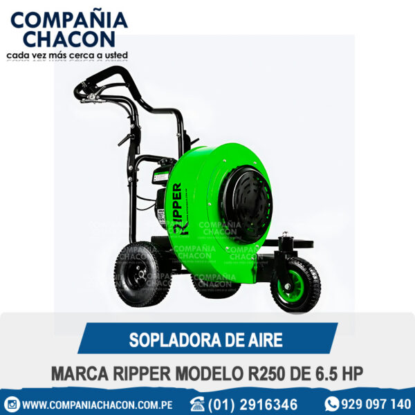 SOPLADORA DE AIRE MARCA RIPPER MODELO R250 DE 6.5 HP
