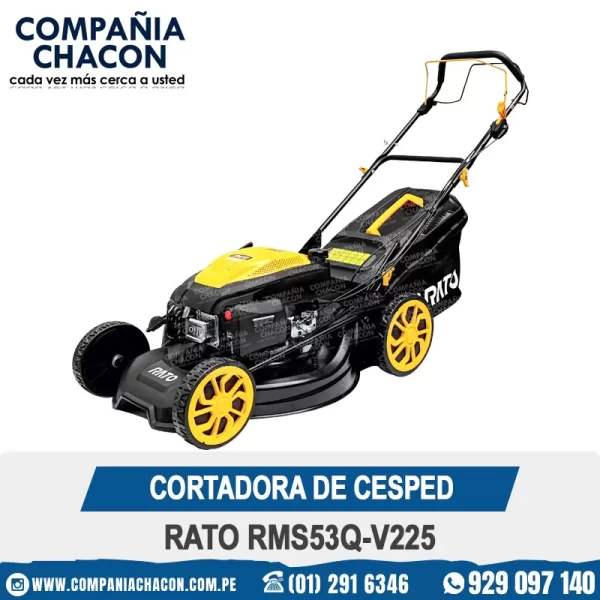 CORTADORA DE CESPED RATO RMS53Q-V225
